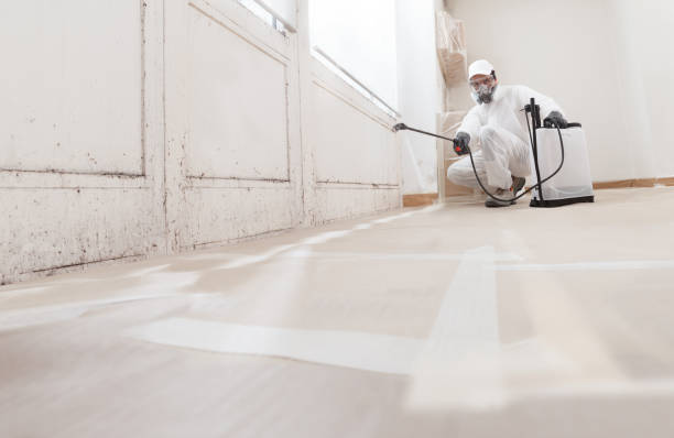 24/7 Emergency Mold Inspection experts in Wilmington, NC